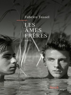 cover image of Les âmes frères
